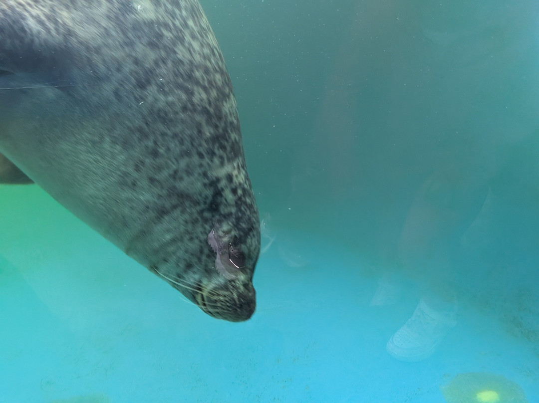 Sea Life Scarborough-斯卡伯勒必去景点