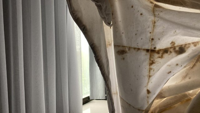 哥伦比亚哈比森凯悦嘉轩酒店-旅行者