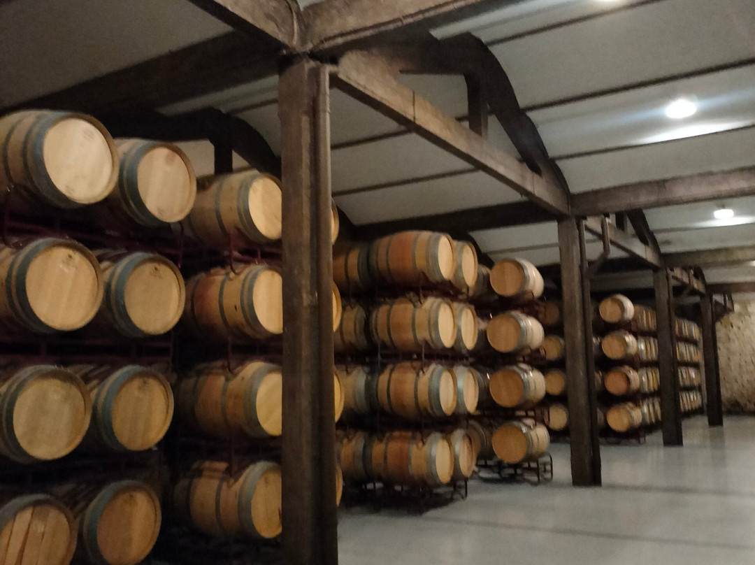 Bodegas Franco Espanolas-洛格罗尼奥必去景点