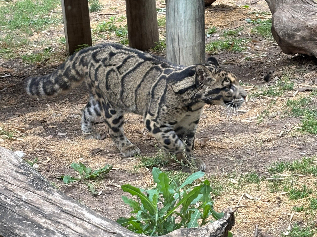 Tanganyika Wildlife Park-Goddard必去景点