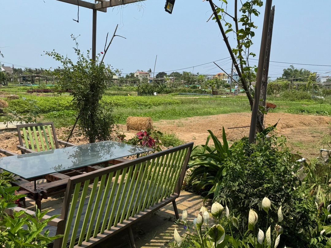 Tra Que Vegetable Village-会安必去景点