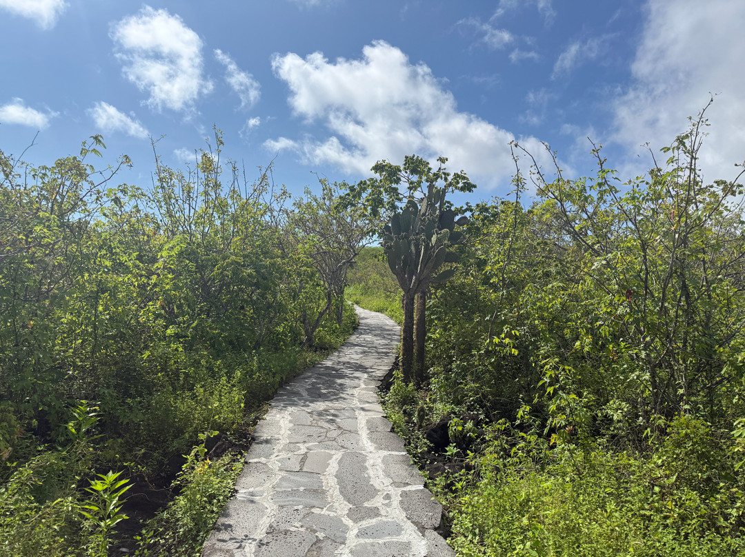 Cerro Tijeretas-Puerto Baquerizo Moreno必去景点