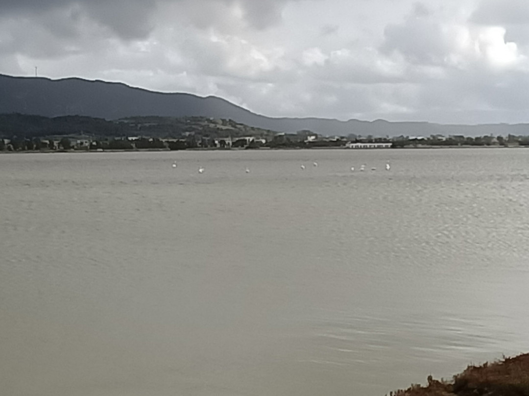 Alikes Salt Lakes Tigaki-Tigaki必去景点