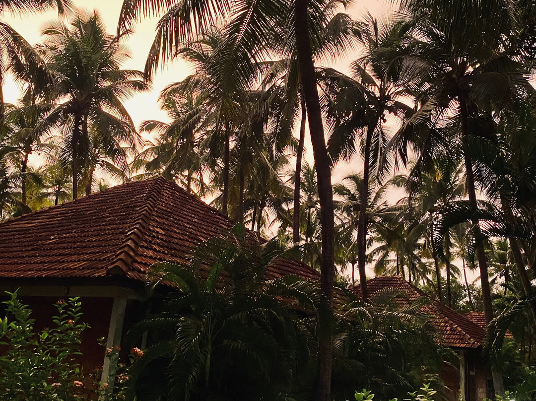 The Nattika Beach Resort主图