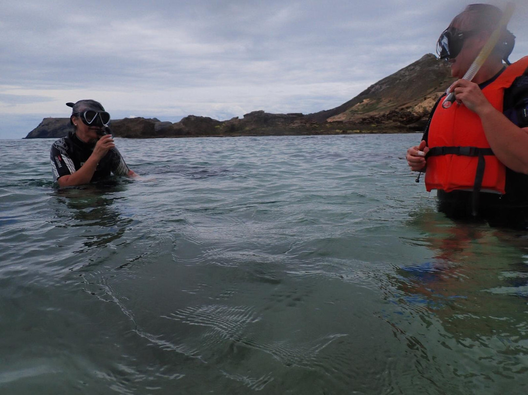 Porto Santo Tours-Porto Santo Island必去景点