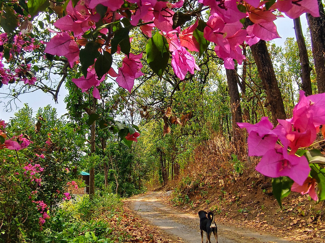 Forest Side Farm - Homestay at Kotabagh Near Nainital and Jim Corbett主图