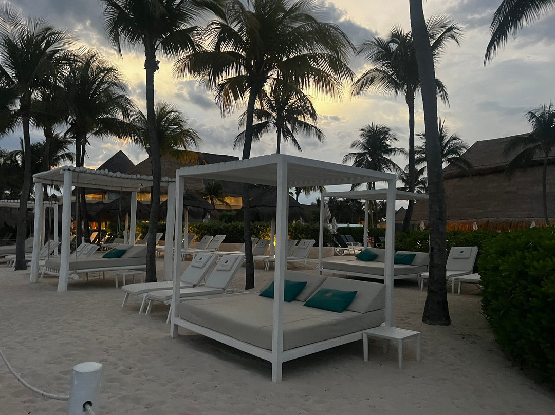 Catalonia Yucatan Beach - All Inclusive主图