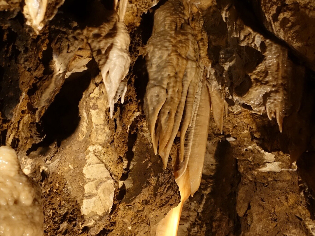 Bozkovske Dolomitove Cave-Bozkov必去景点