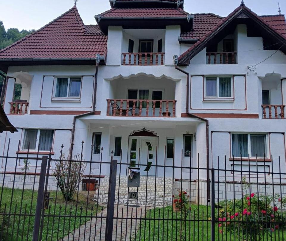 Pensiunea Ana Transalpina Șugag