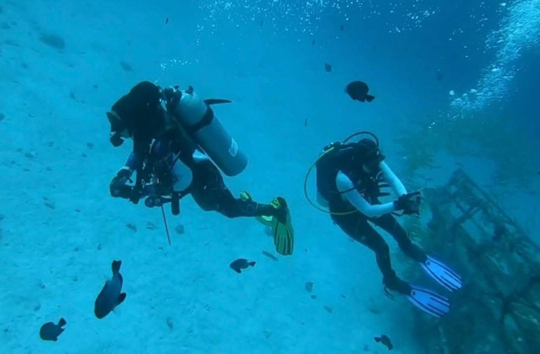 Tropical Divers Dive Center-达瑙市必去景点