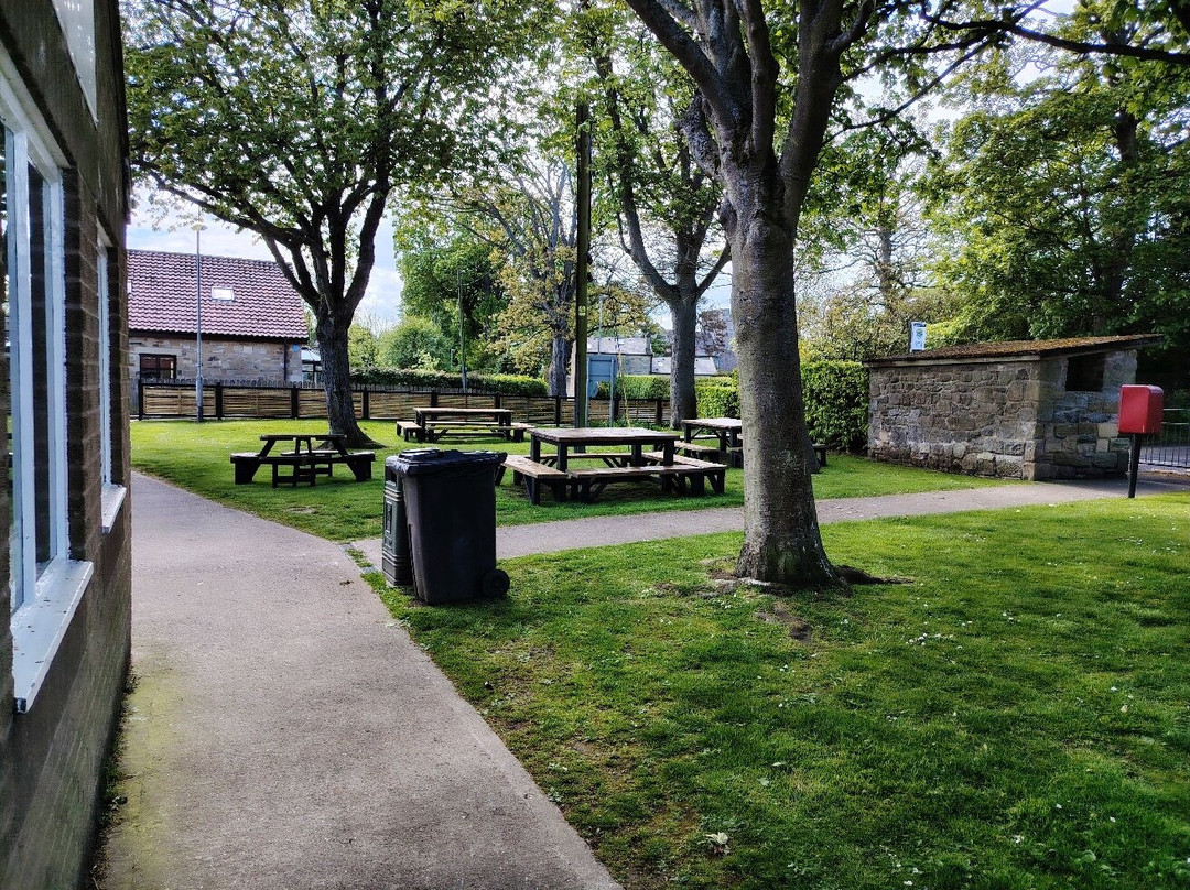 The Running Fox - Longhoughton