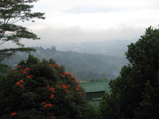 Mount Randholee Resorts & Spa