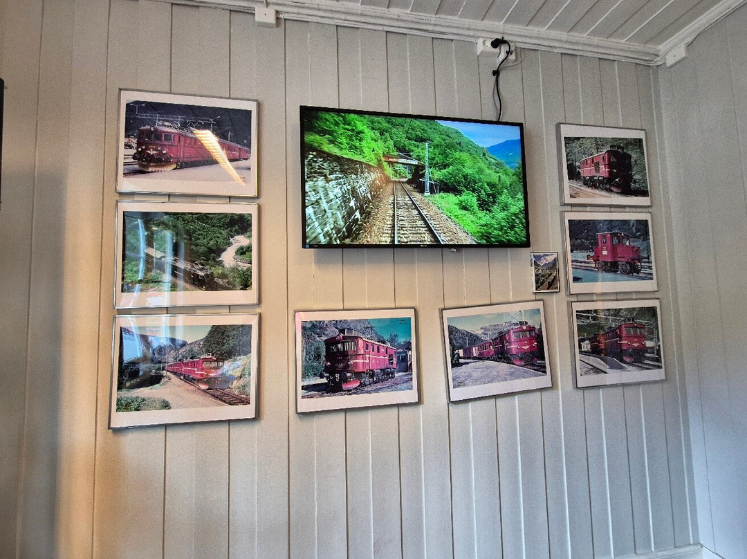 Flåm Railway Museum-弗洛姆必去景点