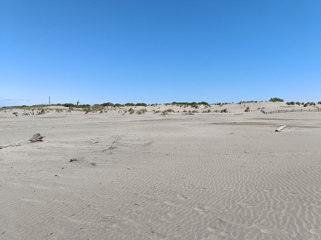 Plage de l’Espiguette-勒格罗迪鲁瓦必去景点