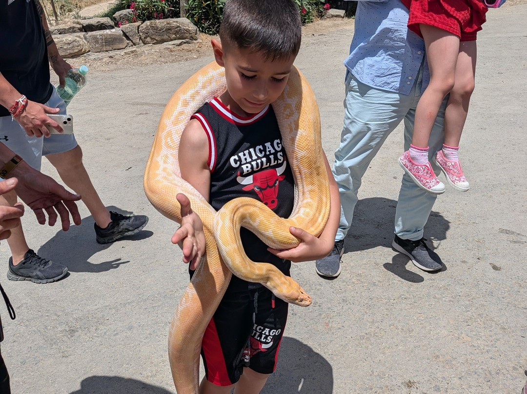 La Pequena Africa Animal Reserve-加的斯市必去景点