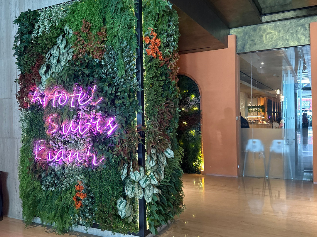 日惹比安蒂阿托特尔套房酒店主图