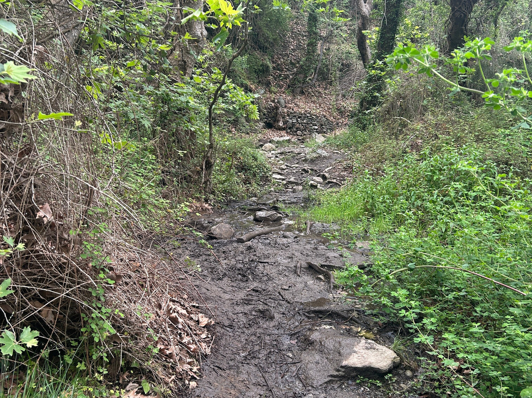 Richtis Gorge-Exo Mouliana必去景点