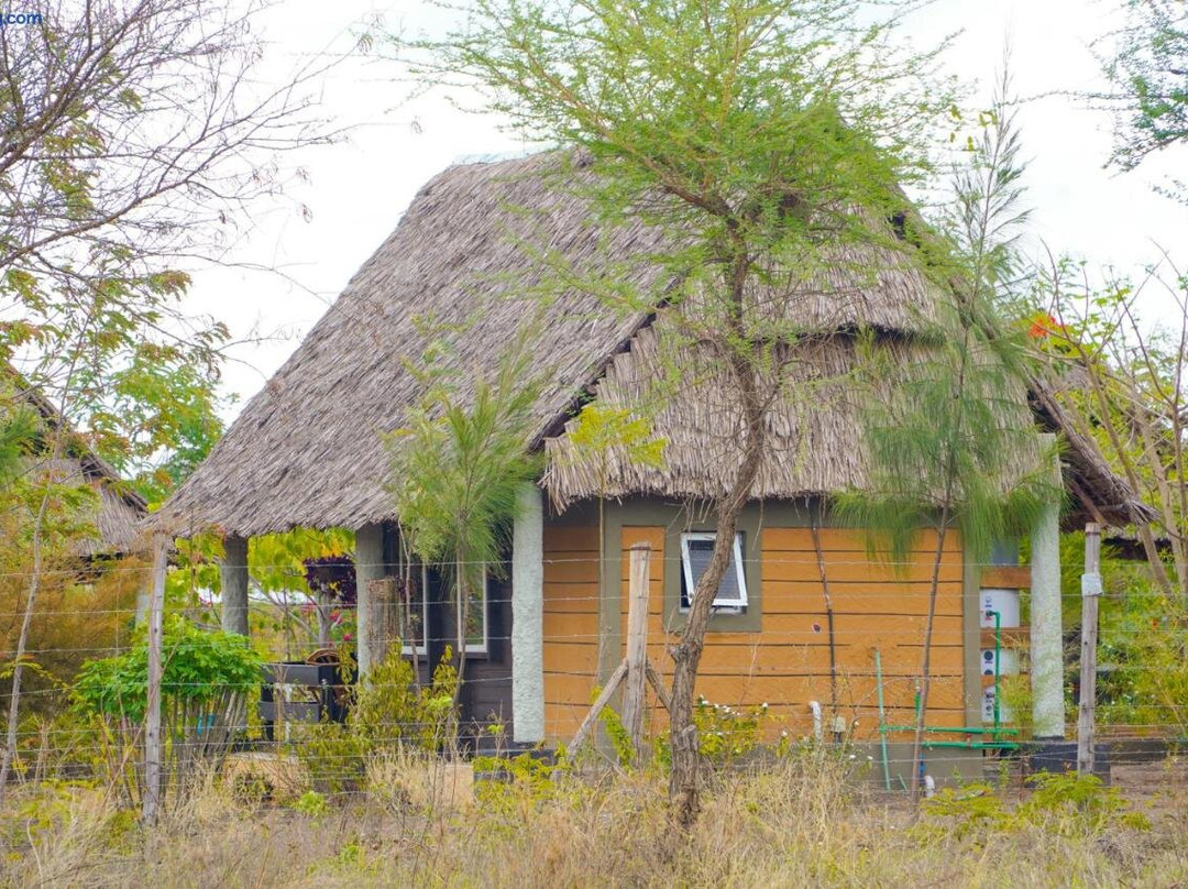 Eliata Bush Camp