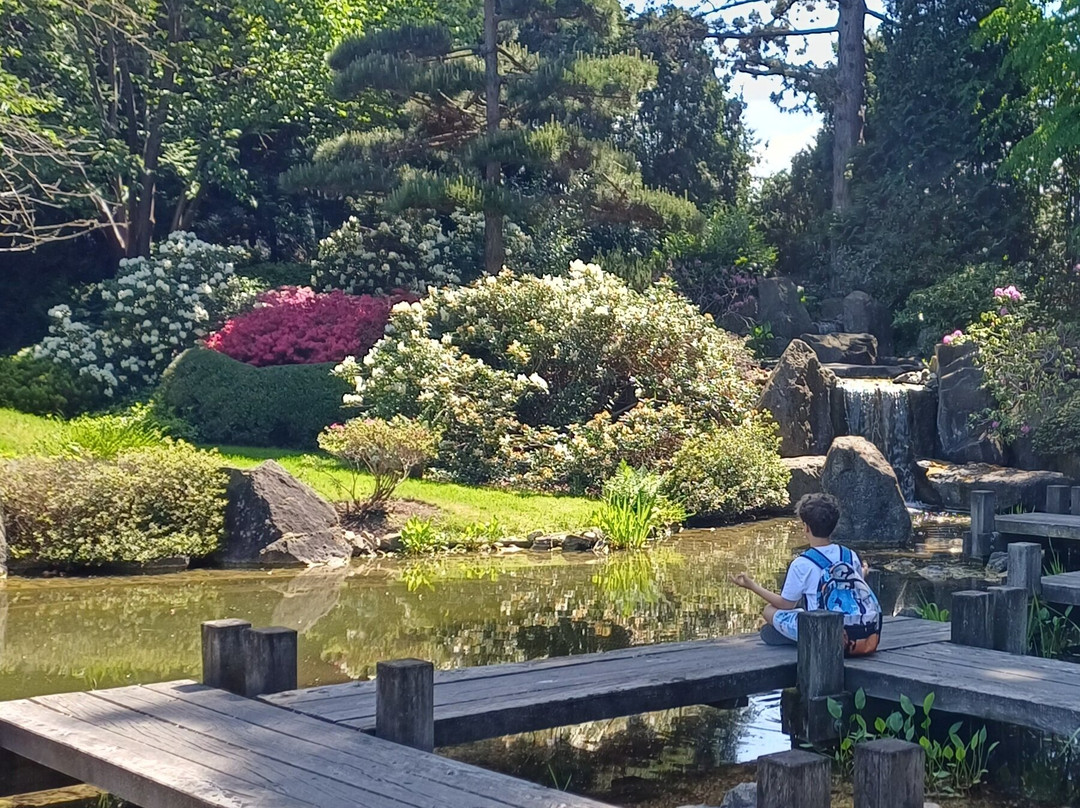 Japanischer Garten-Bad Langensalza必去景点