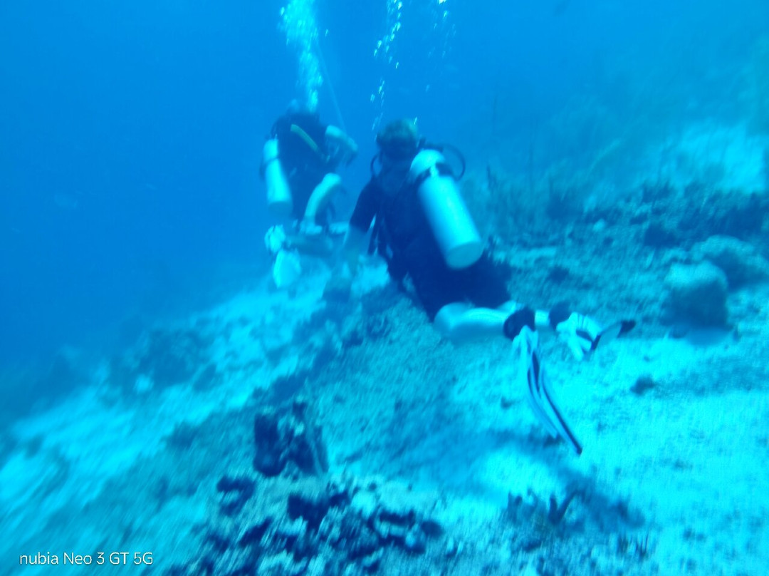 Fundiving Curacao-威廉斯塔德必去景点