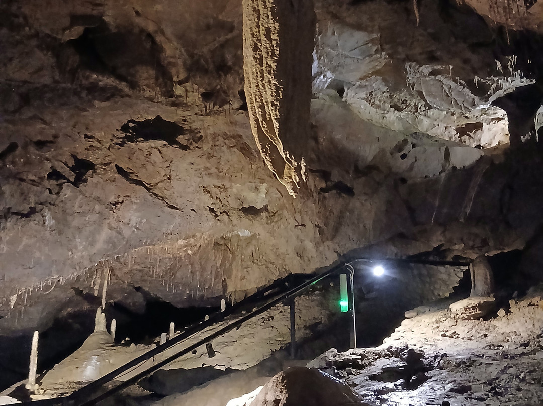 Crag Cave-Castleisland必去景点