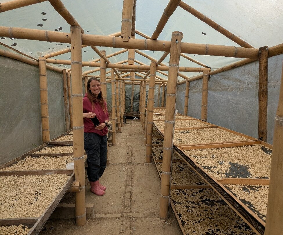 Finca Don Eduardo Coffee Tour-萨伦托必去景点