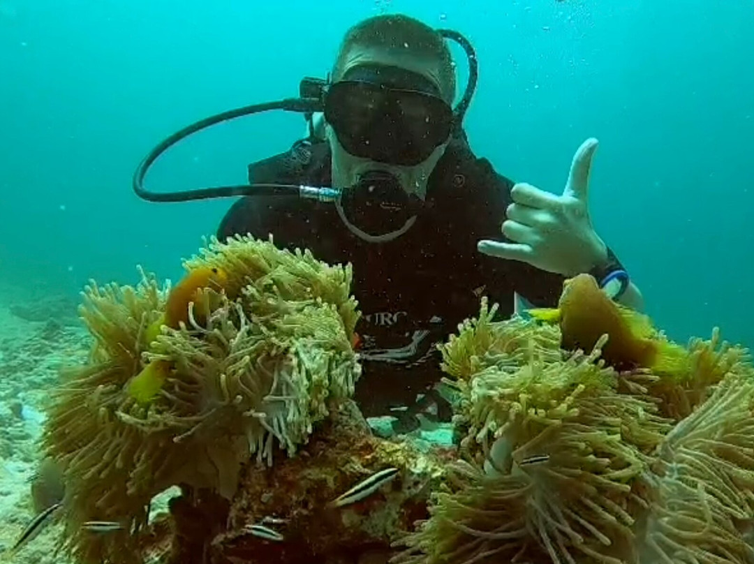 Euro-Divers Niva Dhigali Maldives-Meedhoo必去景点