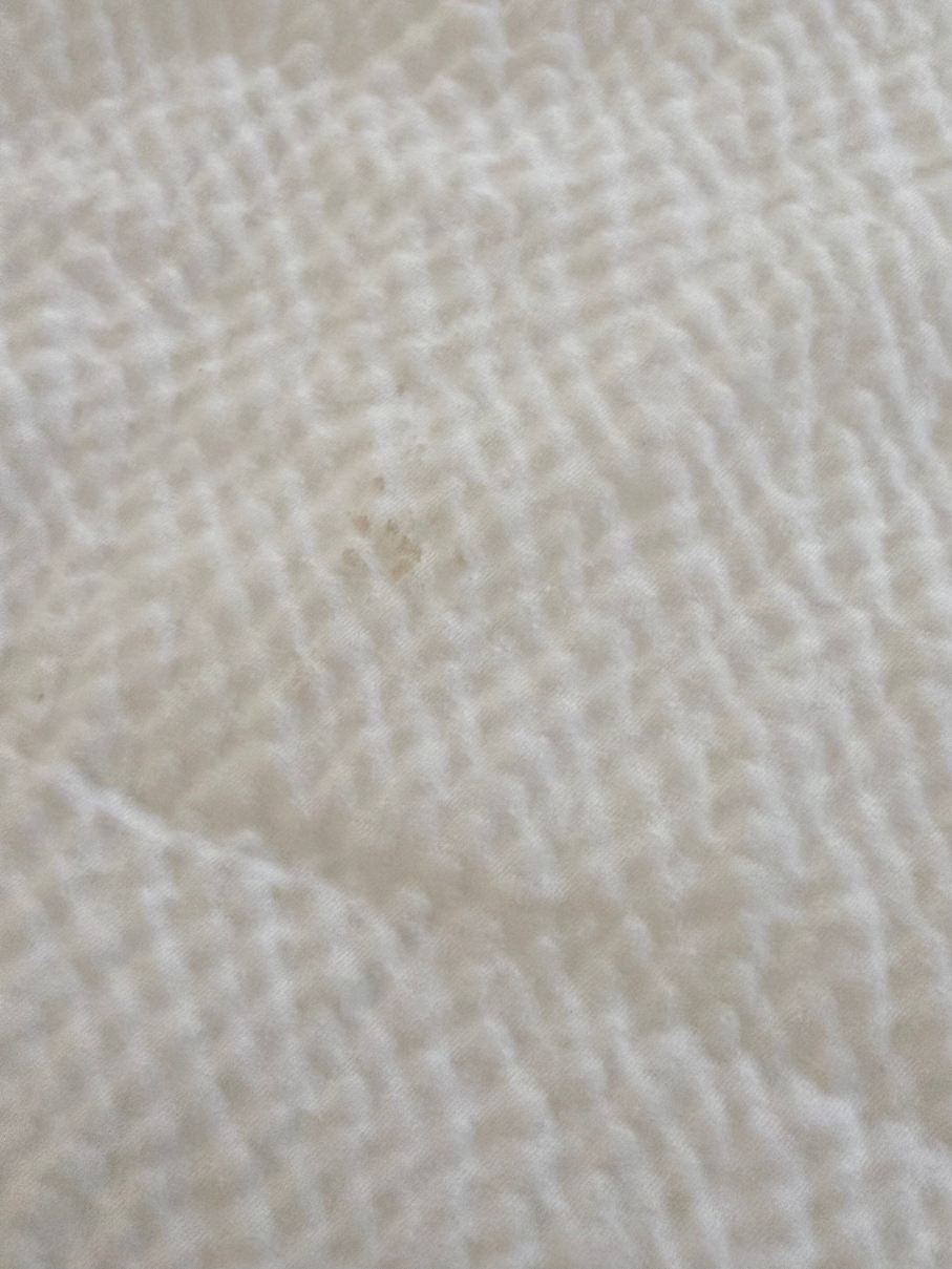 切罗基万枫酒店-客卧