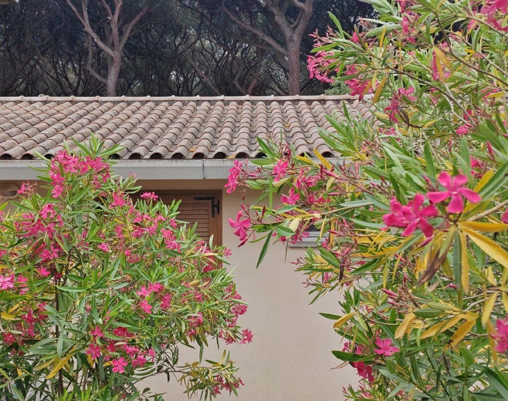 Golfo di Maremma Village主图