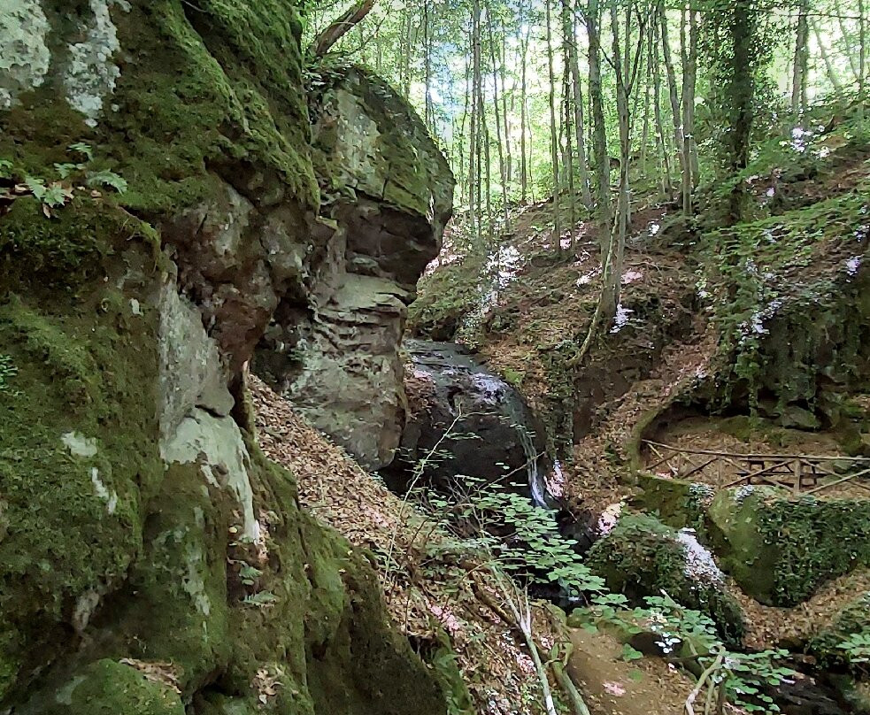 Parco Vivo Toscana-Vivo d'Orcia必去景点