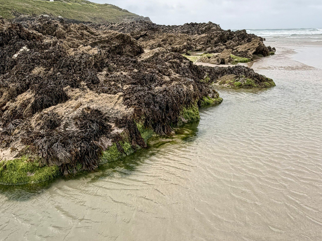 Newquay Beach-纽奎必去景点