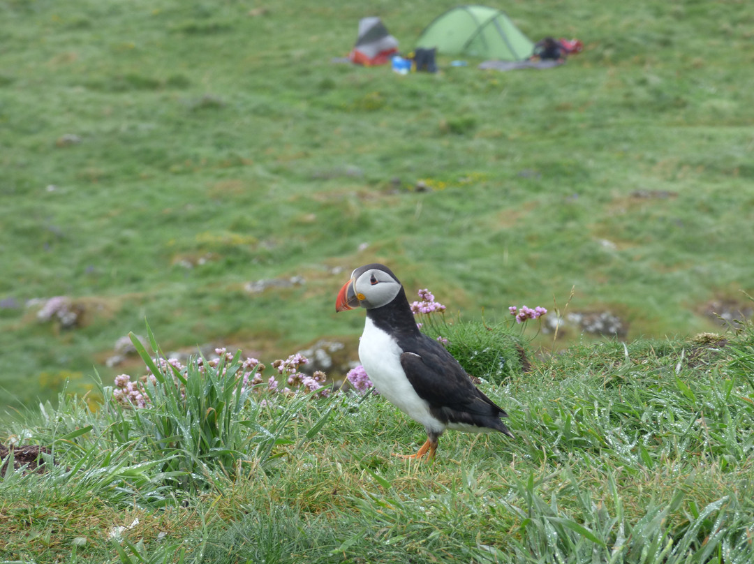 Mull Wildlife Breaks-Salen必去景点