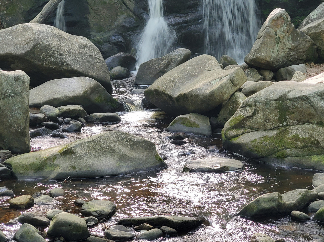 Willard Brook State Forest-Ashby必去景点