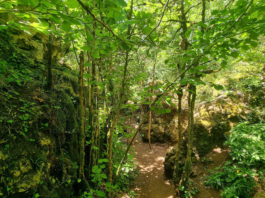 Parc le Theil-Le Caylar必去景点
