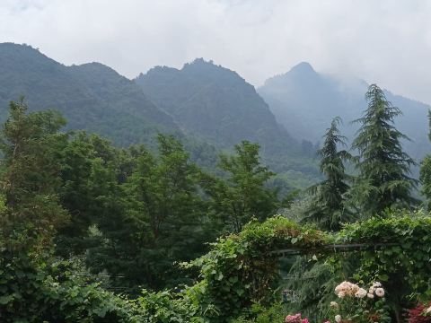 Hotel Nadis-旅行者