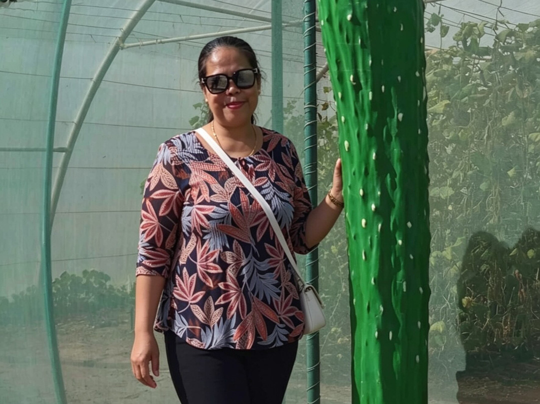 North Sedra Farm-Madinat Ash Shamal必去景点