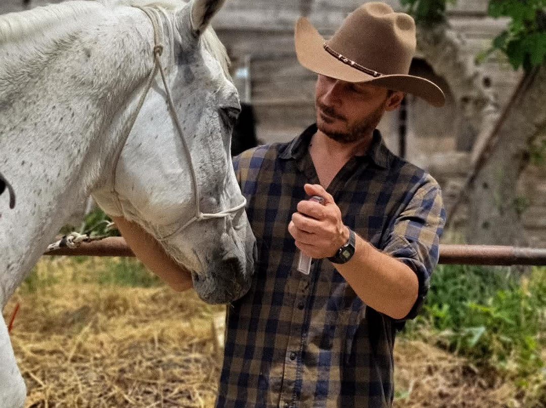 Horse Trekking Sicily-Marineo必去景点
