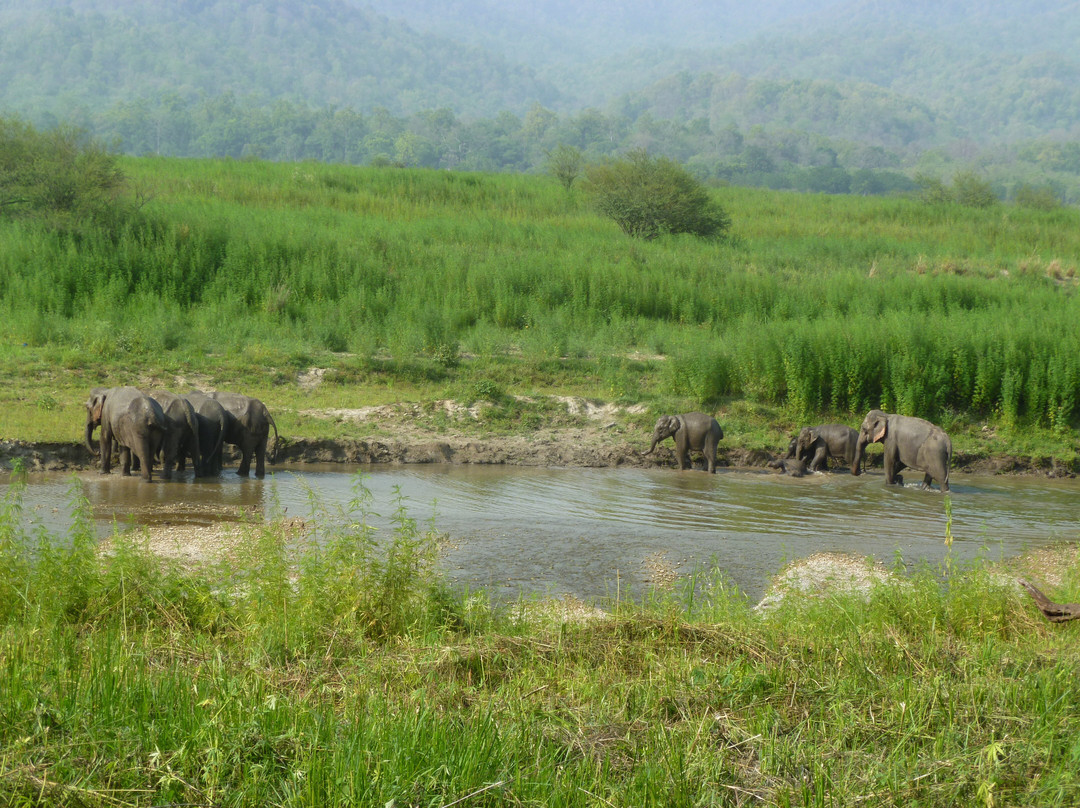 Corbett Safari-Jim Corbett National Park必去景点