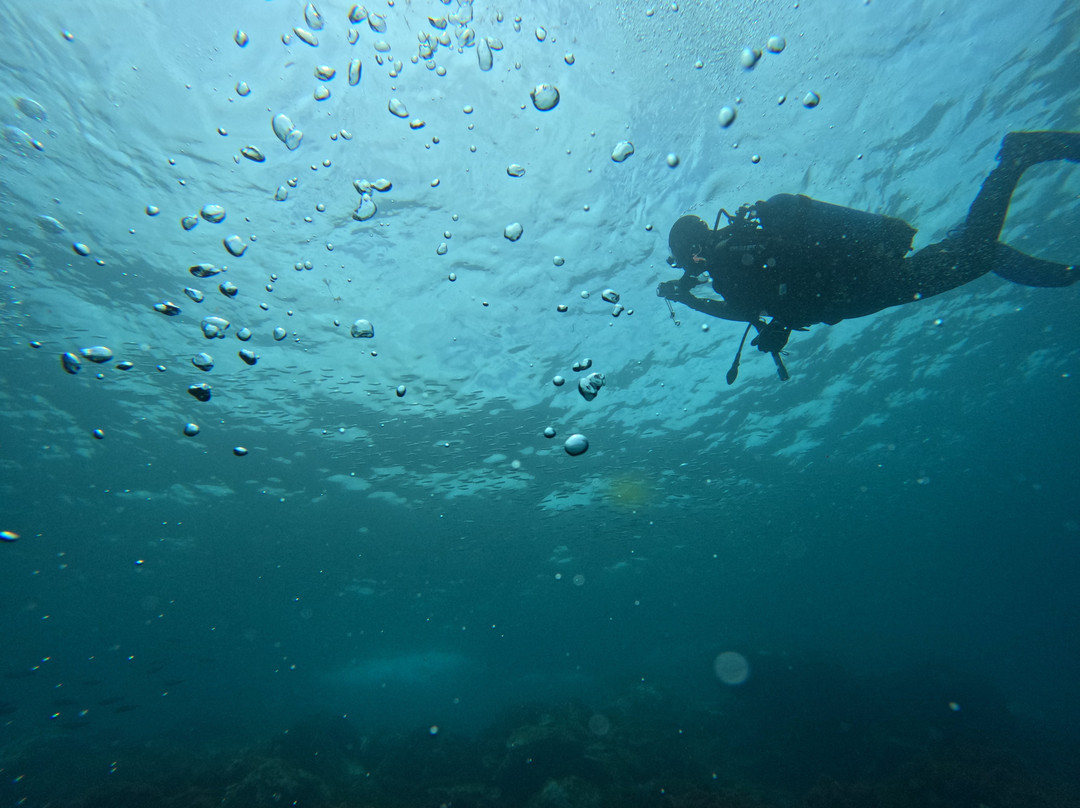 Azzurro - Dive Academy | Azores-Rabo de Peixe必去景点