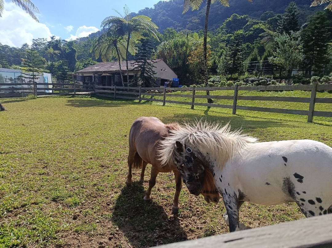 Bali Farm House-Pancasari必去景点