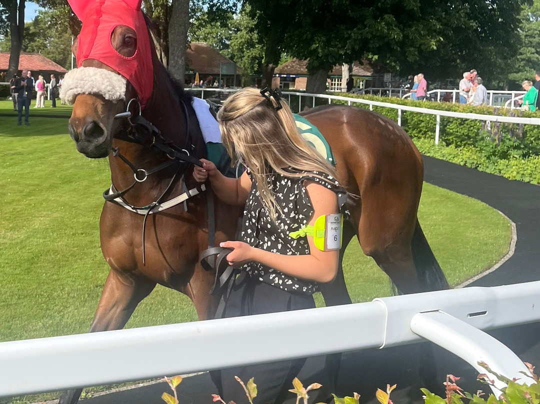 Ripon Racecourse-里彭必去景点