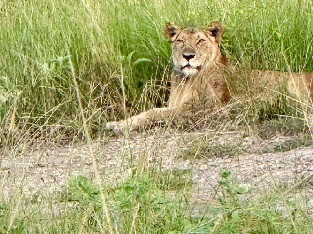 Queen Elizabeth National Park-Kasese必去景点