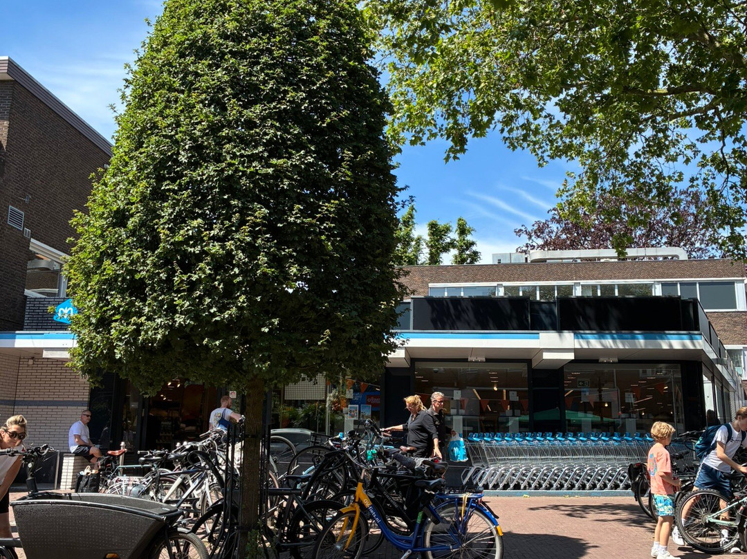 Ah Bloemendaalseweg