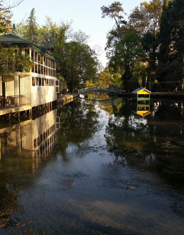 Park With Swans-New Athos必去景点