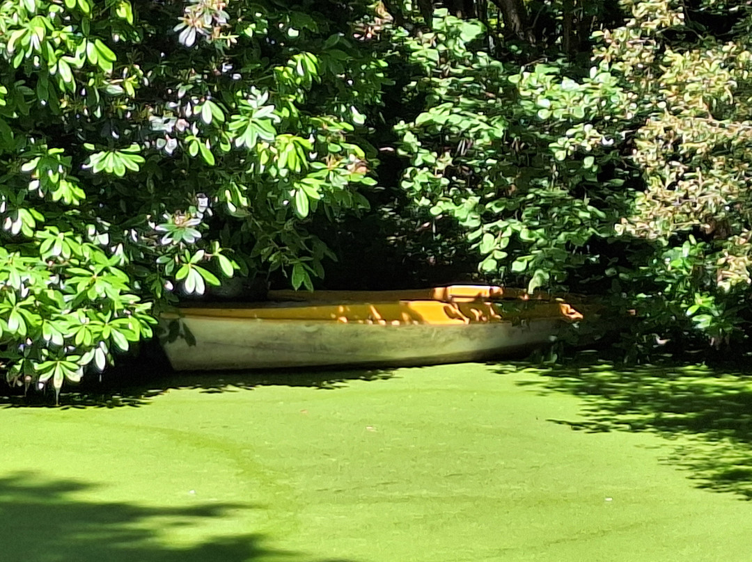 Conwy Water Gardens-Rowen必去景点