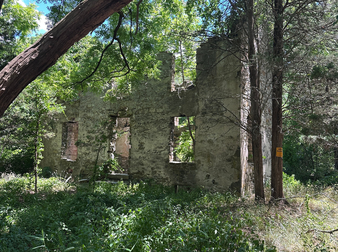 Maurice River Bluffs  Nature Preserve-Millville必去景点