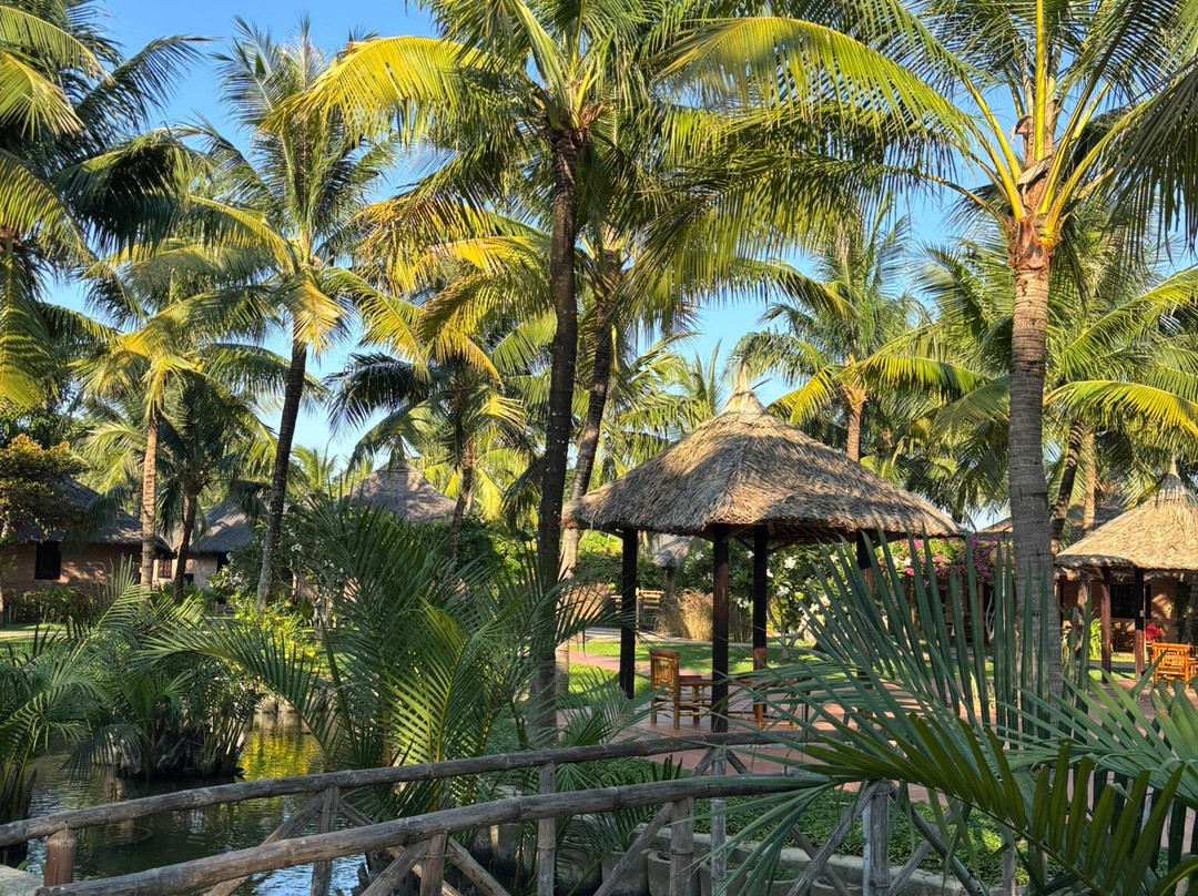 ENSO Retreat Hoi An - Rediscovery & Serenity主图