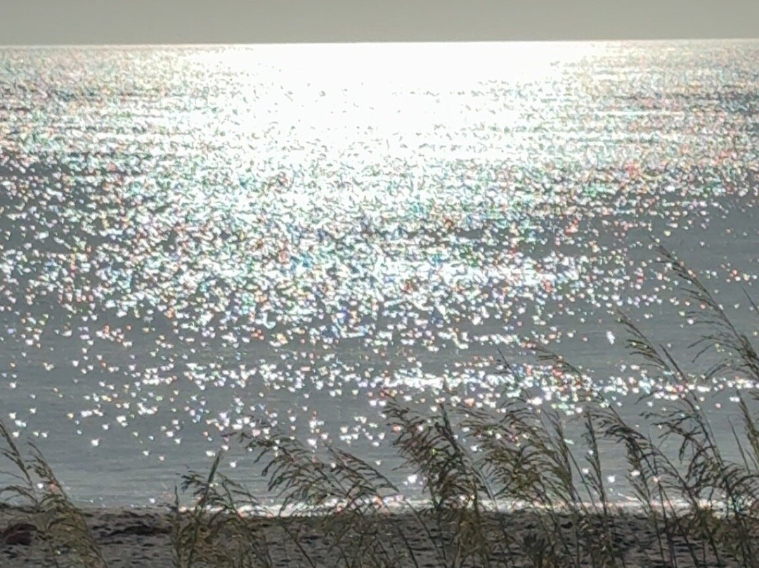 蓝色海滩度假汽车旅馆主图