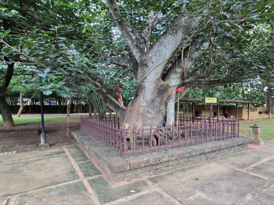 Odisha Crafts Museum - Kala Bhoomi-布巴内斯瓦尔必去景点