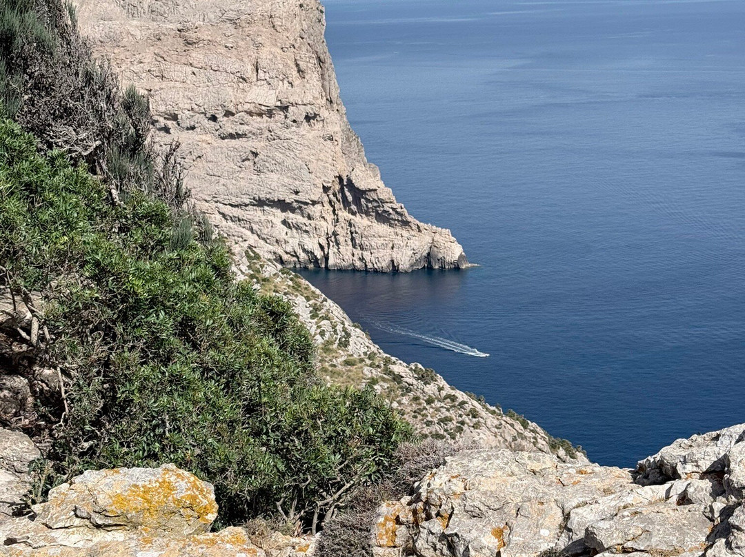 Mallorca Bike Hire-波连萨必去景点
